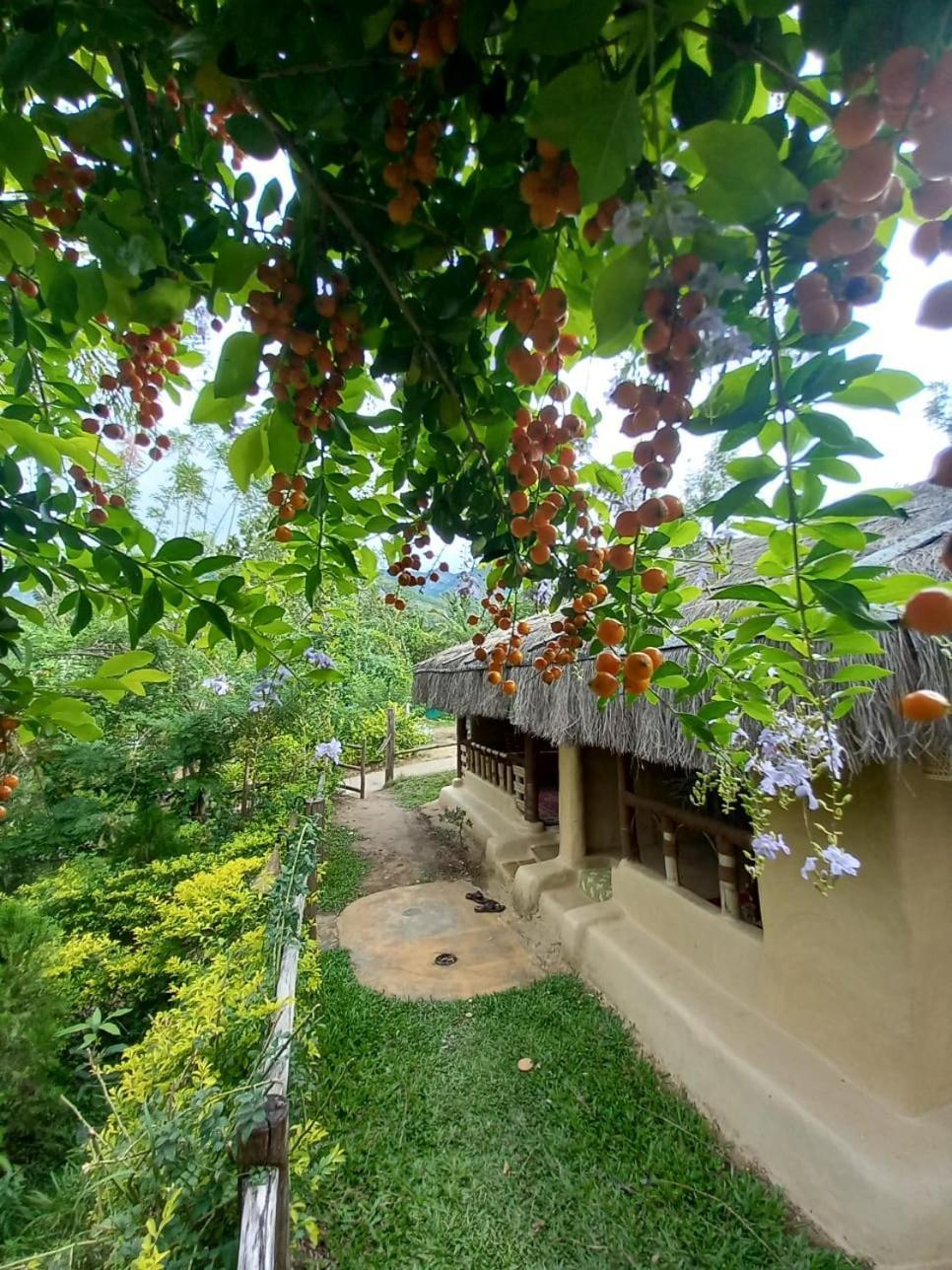 Nature Tones By Brdge Hospitality Maraiyūr Εξωτερικό φωτογραφία